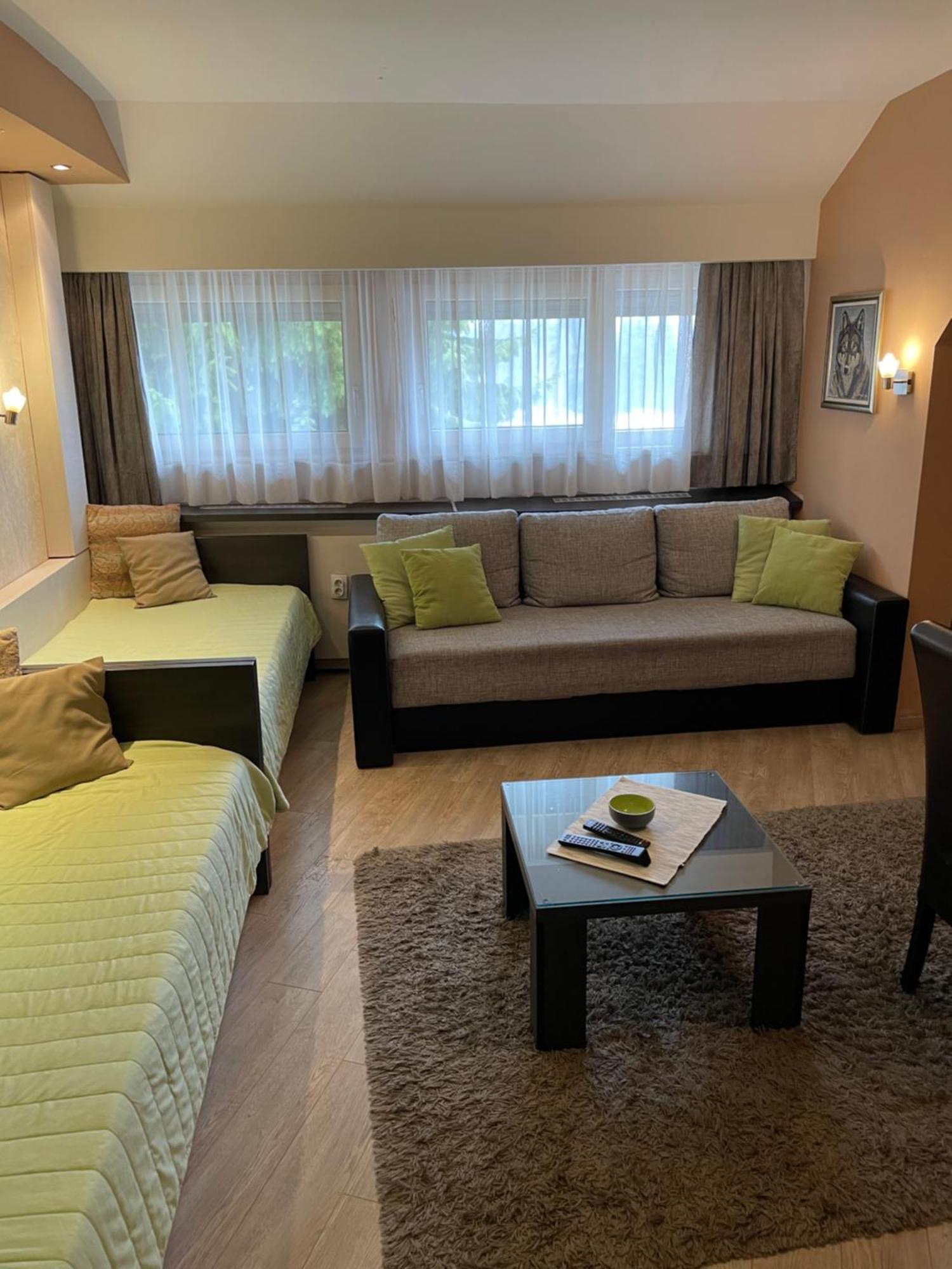 Apartment Brvenik Plus Копаоник Екстер'єр фото